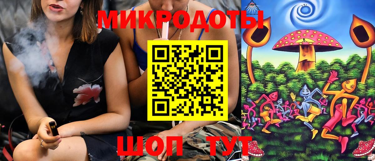 Псилоцибиновые грибы Psilocybine cubensis Электрогорск