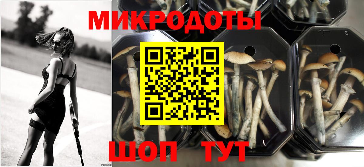 Псилоцибиновые грибы MAGIC MUSHROOMS  Псилоцибиновые грибы GOLDEN TEACHER  Вход с VPN  Электрогорск 